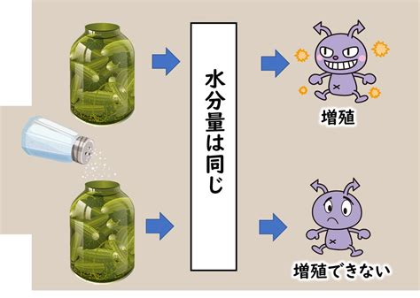 水分量 測定 食品|水分活性と微生物の増殖 .